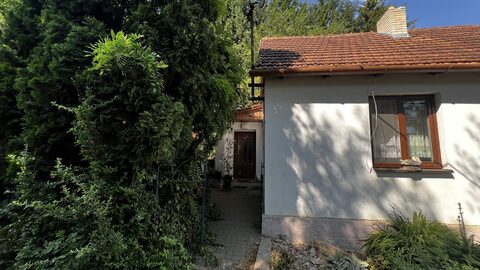 Pěšina ke vchodu